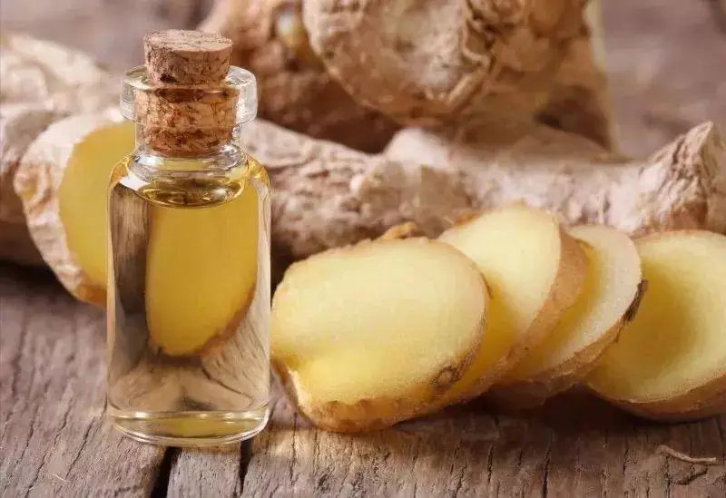 ginger root oil  body ginger oil massage ginger oil