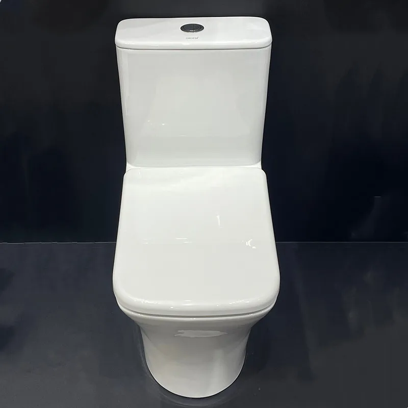 luxury sanitary ware wc ceramic white toilet bathroom rimless toilet Chinese wc wash down toilet