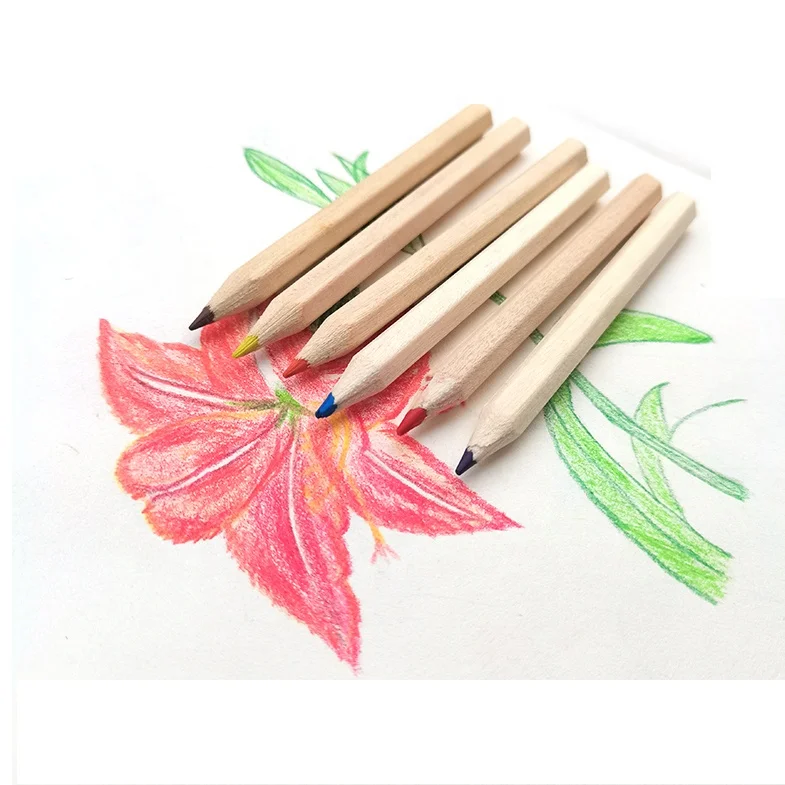 Promotion Custom Logo Pencils Lapiz 3.5Inch Kraft Paper Box Packing 6Pcs Standard Pencils Color Pencil Set