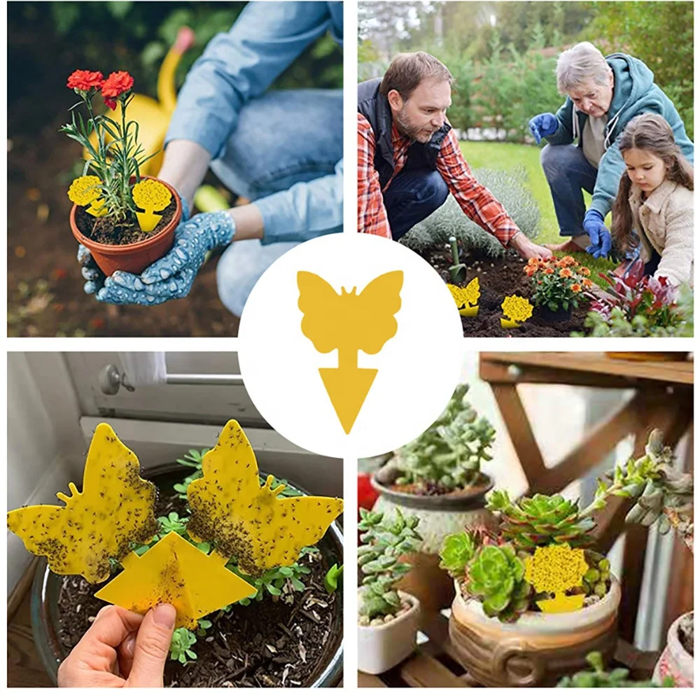 Factory Direct Sale Insect Traps Sticky Horticulture Vegetables Cartoon Shape Fruit Fly Sticky Traps For Insect Trap