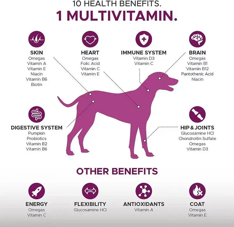 OEM 10 в 1 собака мультивитаминного с Глюкозамин Эфирное собаки добавки и витамины Пробиотики