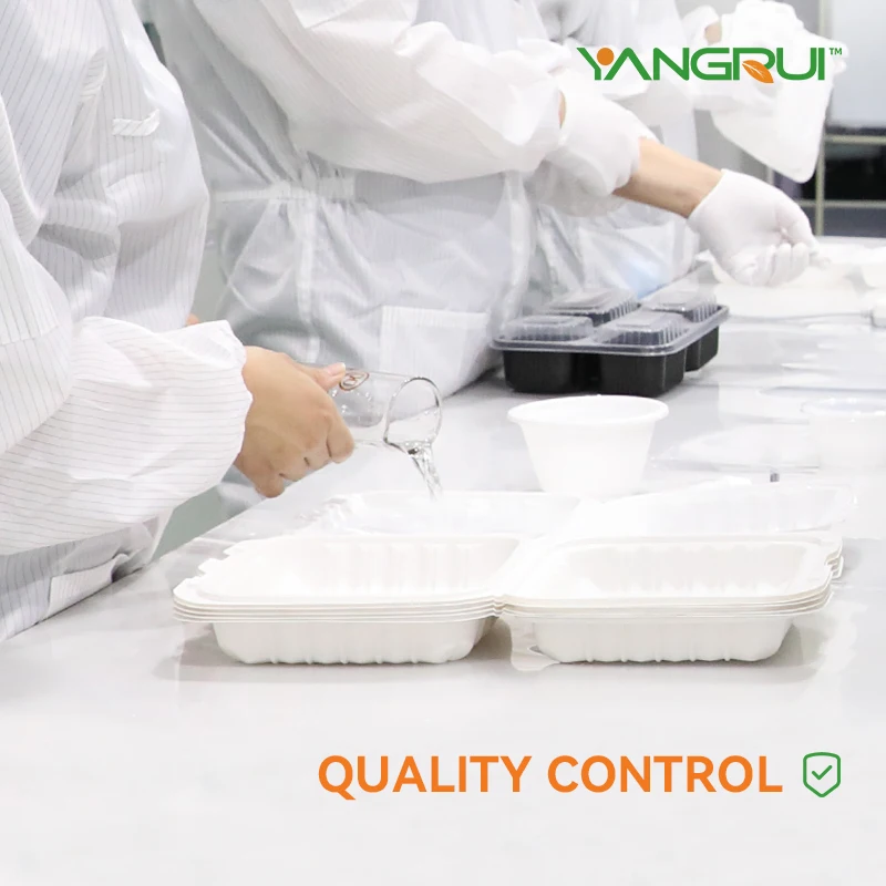 YangRui Square 9 Inch  MFPP Meal Prep Lunch Bento Box Food Take Out Container To Go Plastic Food Container For Restaurant