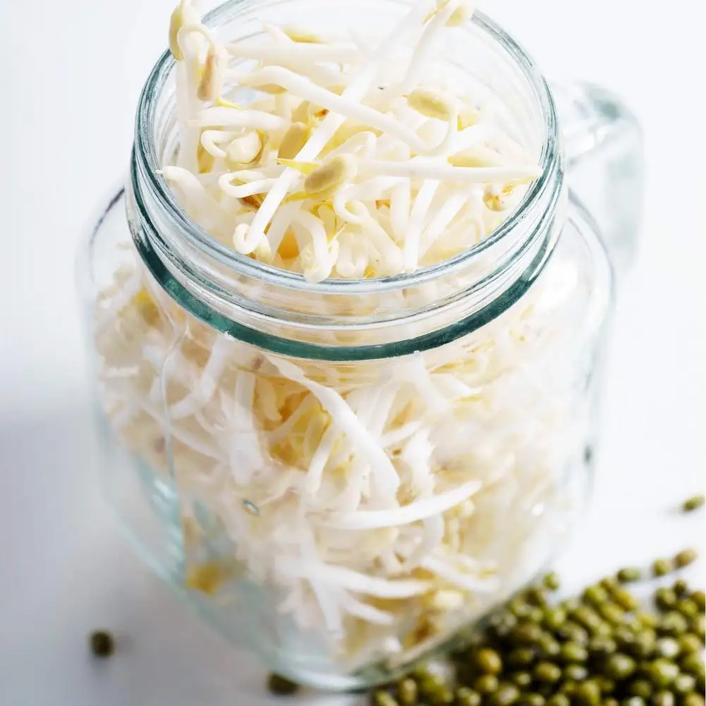 hot sale Reusable Wide Mouth seeds sprout growing jar set glass mason sprouting jar with stand