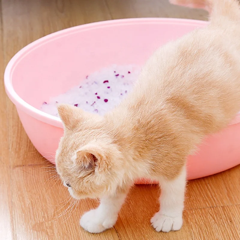 Silica Gel Sand Filler Clean with Blue Prtical Crystal Cat Litter for Cat Toilet Cleaning