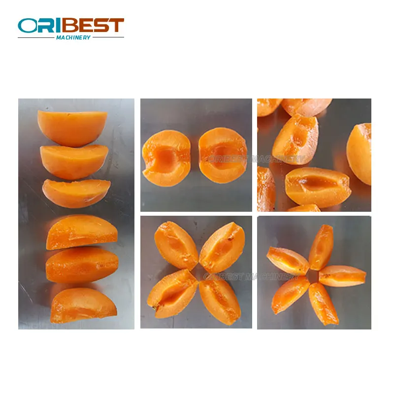 User friendly design Cherry Pitting Apricot pit remove core machine / fruit Cherry pit stone remove machine