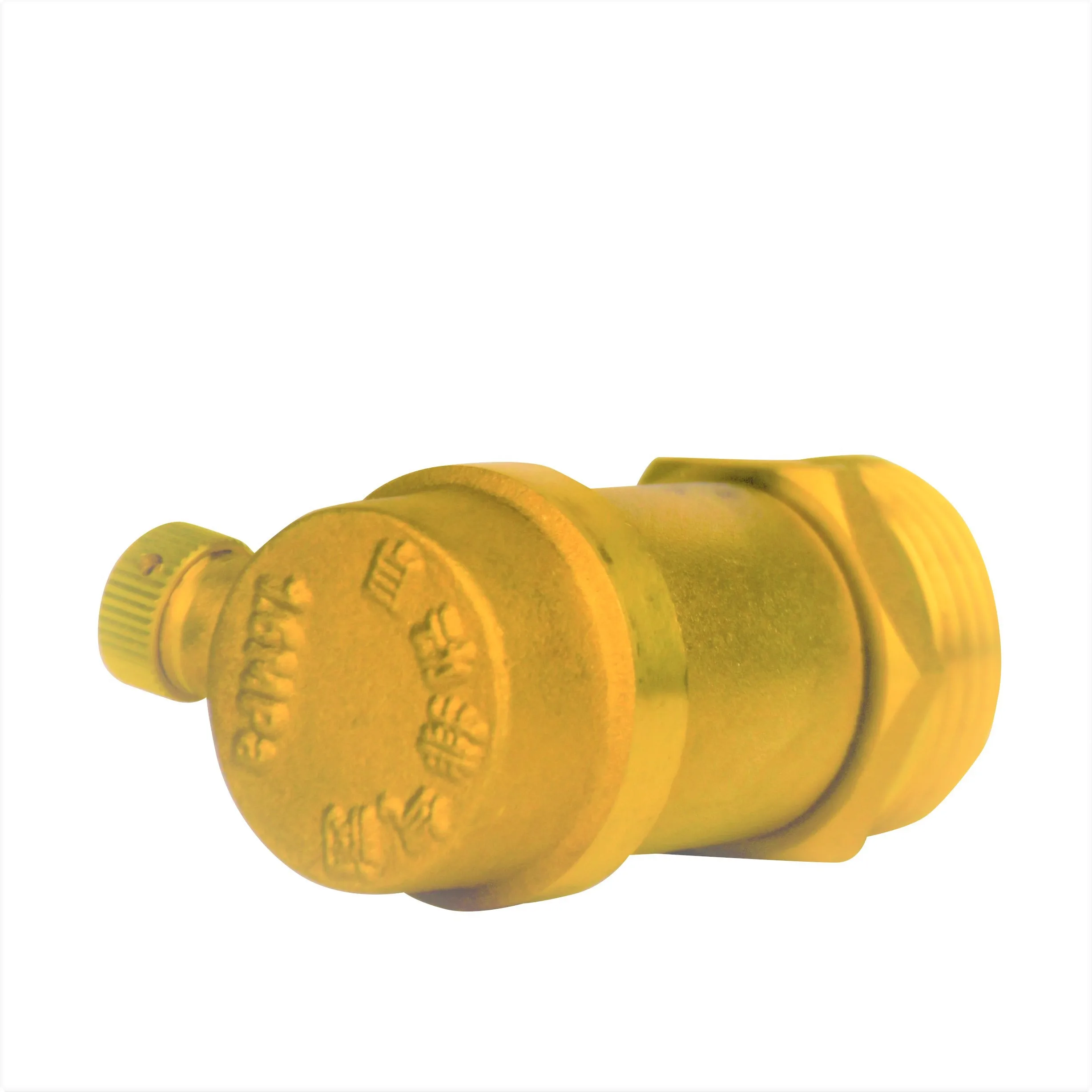 DN25 Pipe vent valve brass vent valve heating automatic vent valve