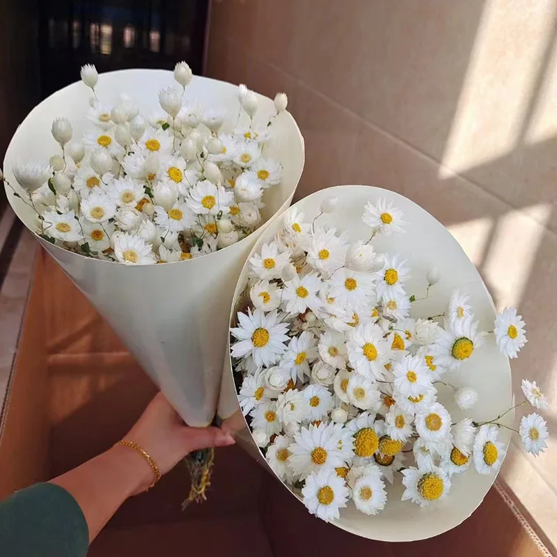 Yunnan Wholesale Dried Flowers Bouquet Pink White Rhodanthe Chrysanthemums Ludanniao Daisy Flower Dried Rhodanthe