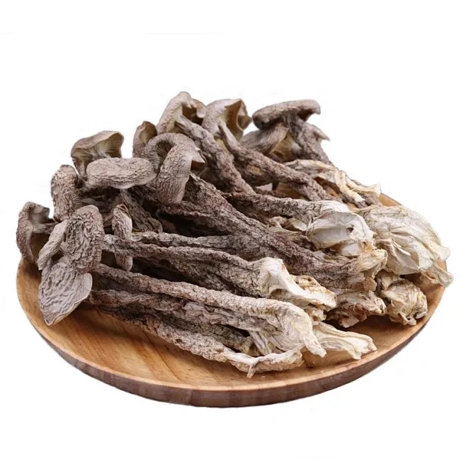 China Natural Oyster Mushroom Lyophyllum Decastes Medium Size Dried Whole Fried Chicken Powder Food Eating Cultivated Bag