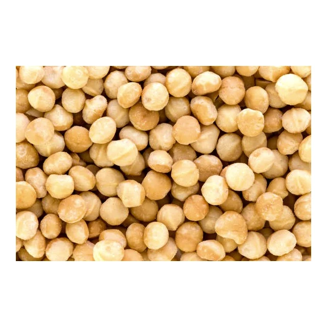 Delicious cheap dry macadamia nuts kernel wholesale from America