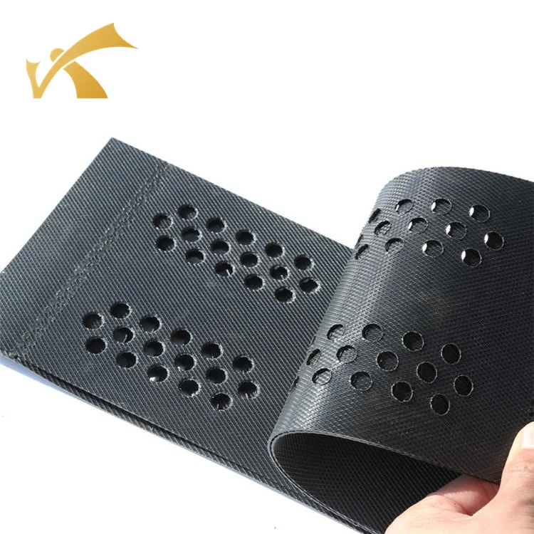 HDPE Material Geocell Geogrid for Landscape Road Civil and Geotechnical Engineering for Various Applications