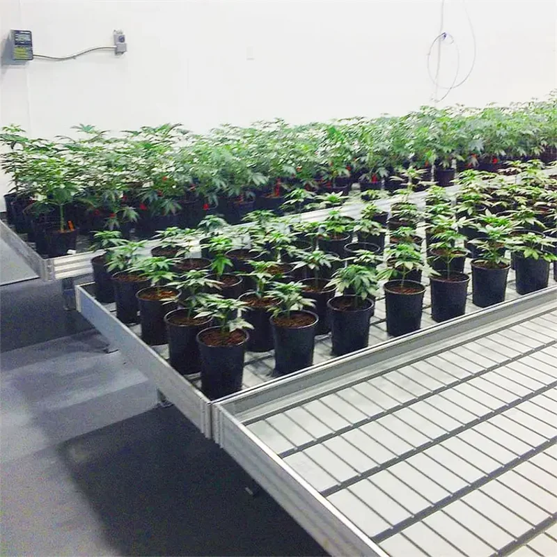 Indoor Farming Ebb and Flow Plastic Grow Trays 4x8ft  4x4ft 3x6ft 5x10ft Rolling Bench Hydroponic Tray for Plants Growing