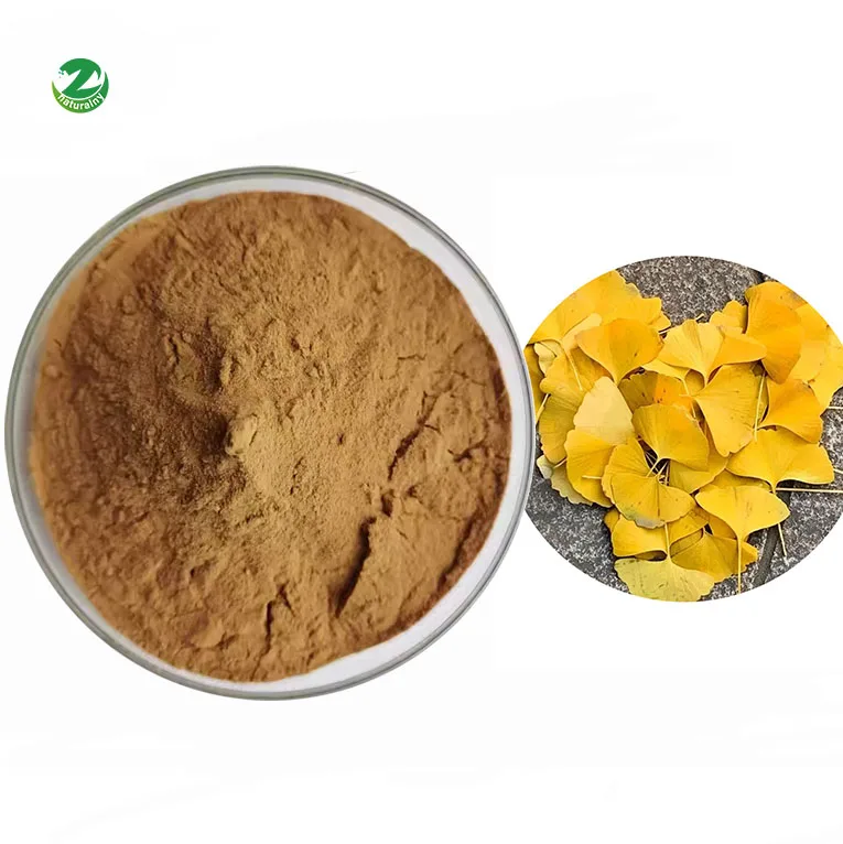 Factory Supply High Quality Bulk 24.0% Flavones 6.0% Lactones 24/6 Ginkgo Leaf Extract Powder Ginkgo Biloba Extract