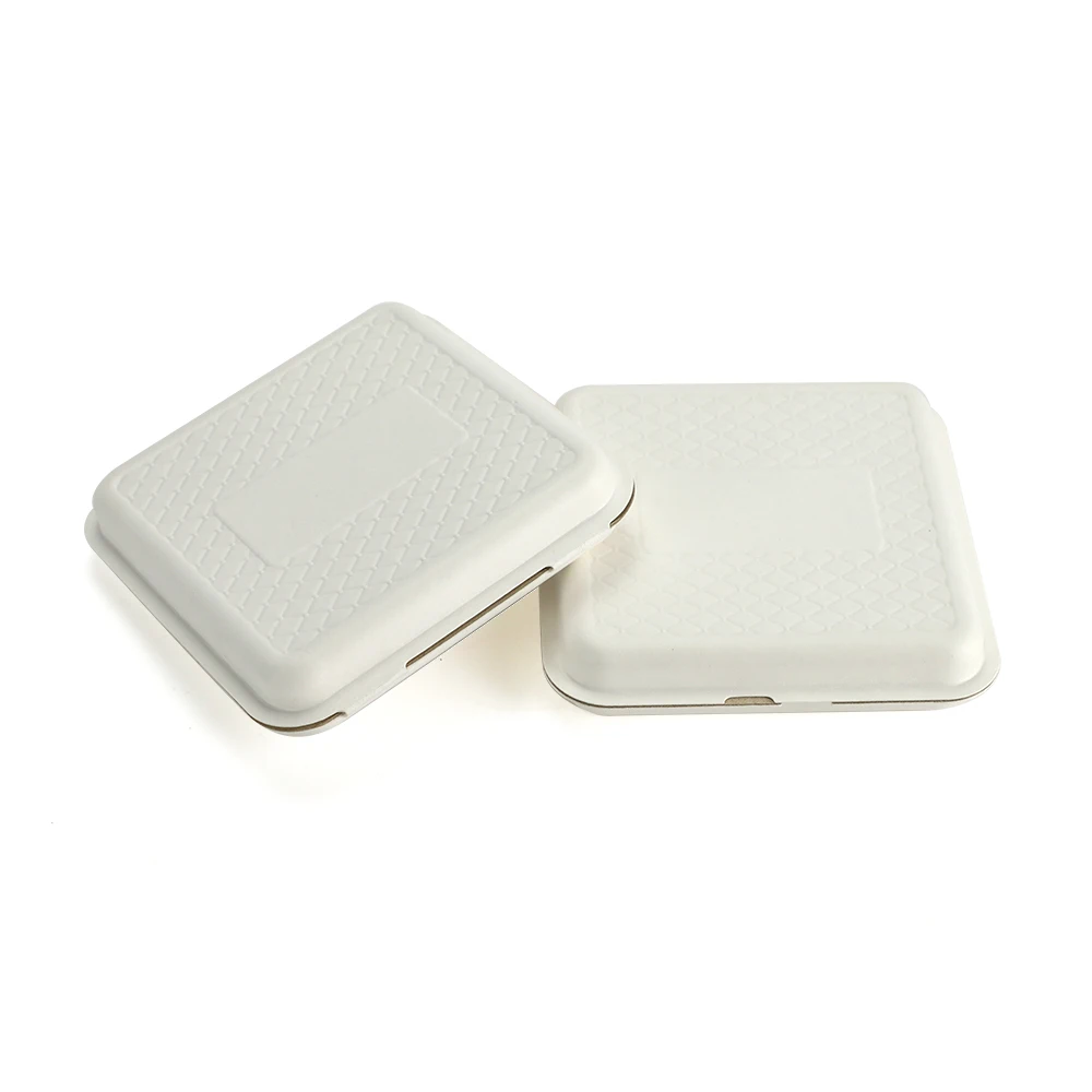 Custom Biodegradable Sugarcane Bagasse Pulp Fiber Molded Packaging Cosmetic Insert Pack Inner Tray