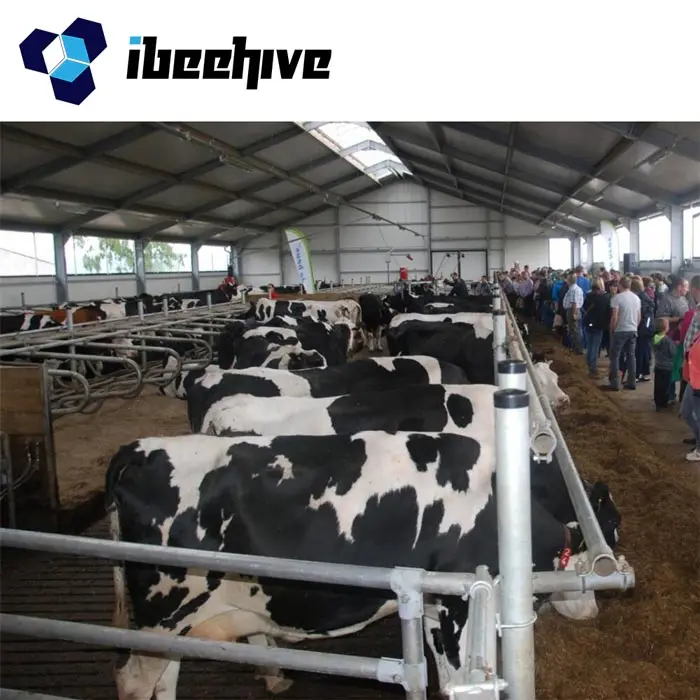 Бычья ферма строительная легкая стальная конструкция строительный камень