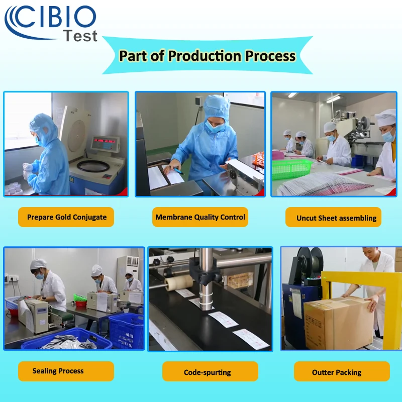 Production Process 