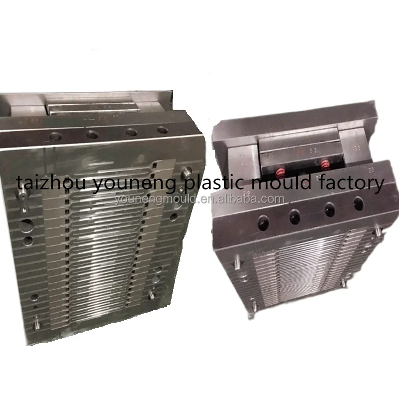 MOULD (17).jpg
