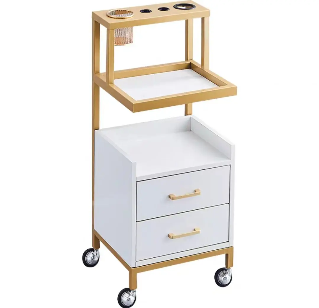 HOCHEY Multifunctional Hairdressing Shop Facial Salon Spa White Salon Furniture Beauty Machine Trolley Cart Hair Salon