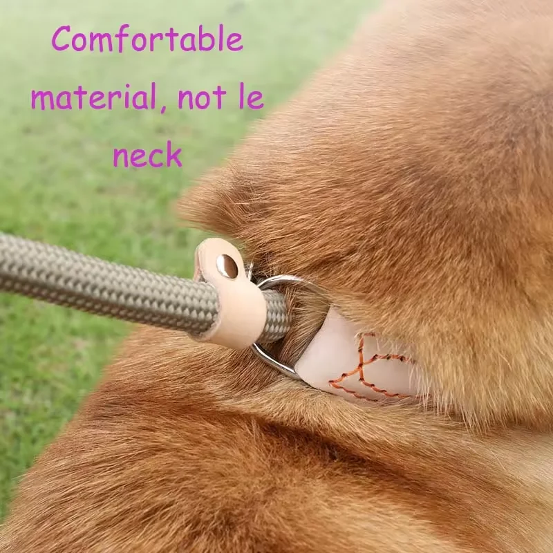 Hot pet dog rope nylon seam leather explosion-proof punch P rope lengthened thick training dog leash
