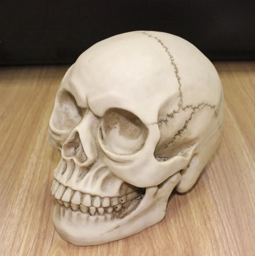Customized  Halloween Home Decorative Poly Resin Skull