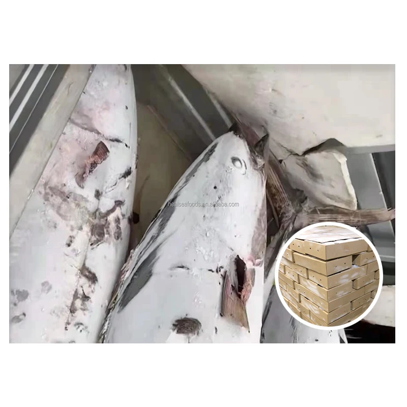 20 KG Up Frozen Yellow Fin Tuna Fish Price