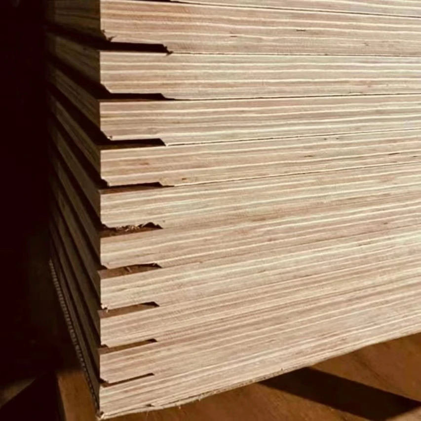 High Strength 19 Ply Hardwood Birch Plywood for Container Shipping/Repairing Wholesale Price