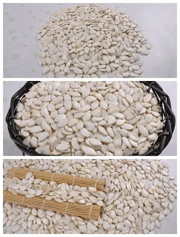 Fresh Pumpkin Seeds Food Snow White Wholesale Raw Grass Seeds Raw White 25/50 kg PP Bag