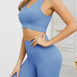 High Quality Seamless Butt Lift Tight Breathable Ladies Gym Leggings Jogging Yoga Sports Running Wear Pants For Women