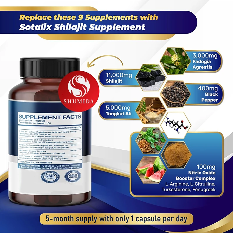 Private Labels Organic Shilajit Gummies Pure Himalayan Vitamins With Lions mane And L-theanine Super Nootropic Gummy