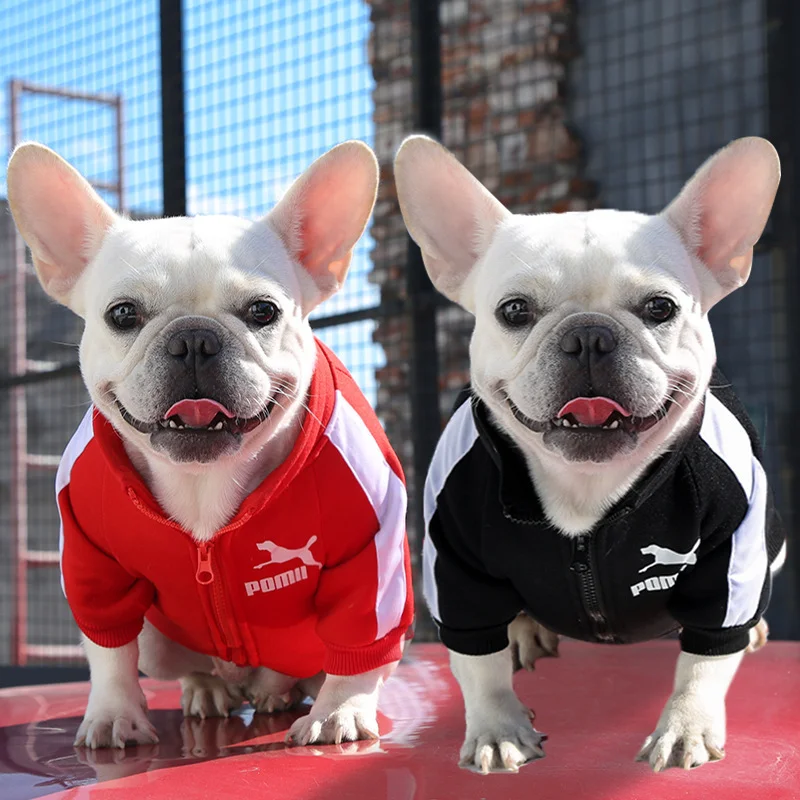 Designer Name Brand Dog Supplies Zipper Tides Bichon French Bulldog Pet Clothes Letter Printing Dog Sweater Clothing