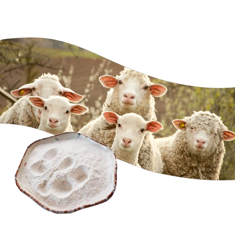 High quality fish growth booster purify water quality feed probiotic