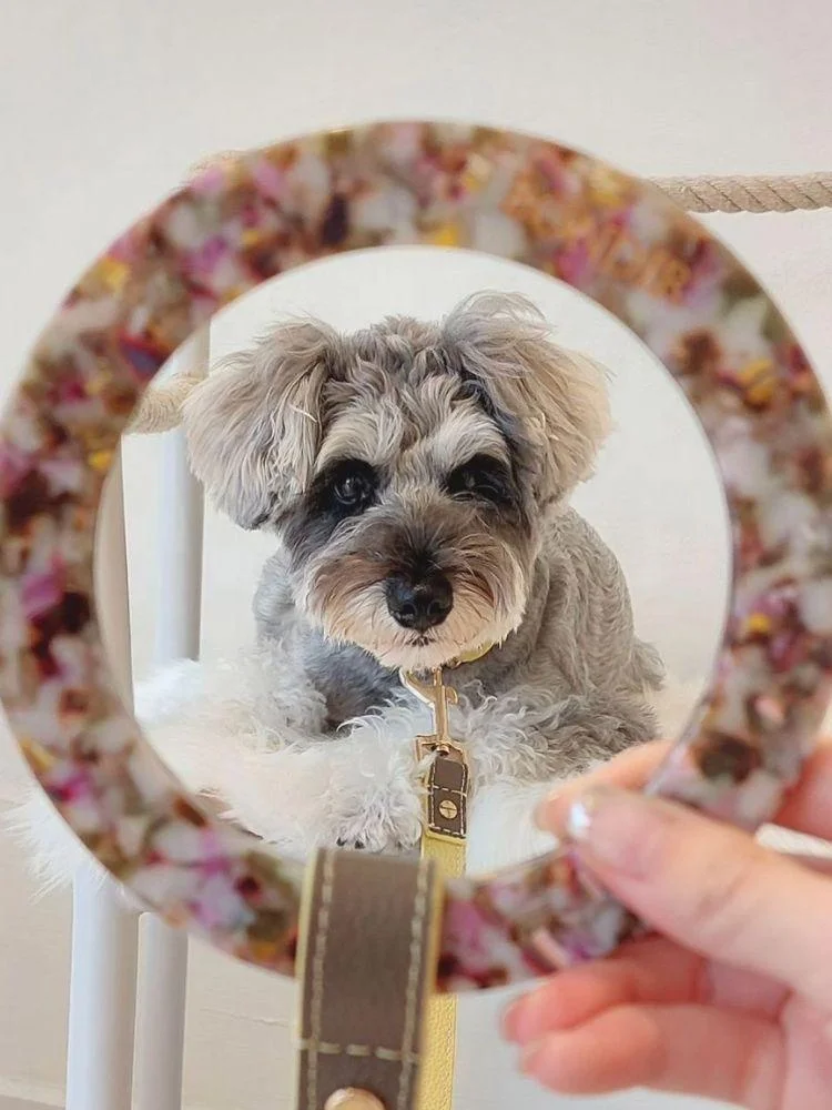 New Fashion Luxury Polo Wide Design Leather Dog Collar Ring Resin Hundehalsband