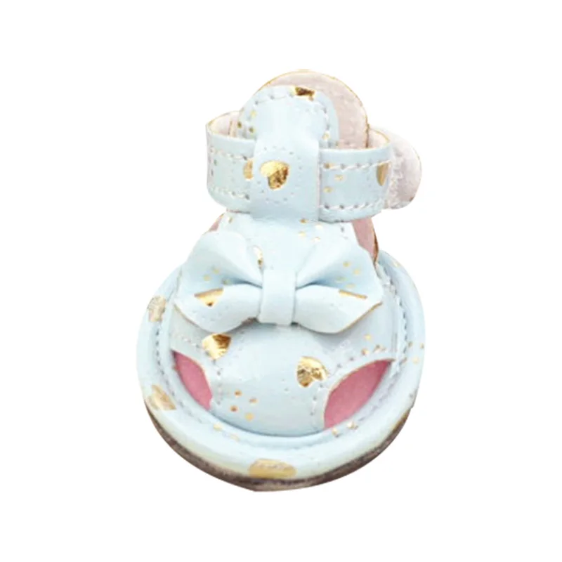 Pet Shoe.jpg