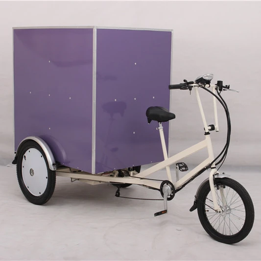 EU standard Electric cargo tricycle 500W big truck with three wheels express delivery vehicle trike logistics tricycles