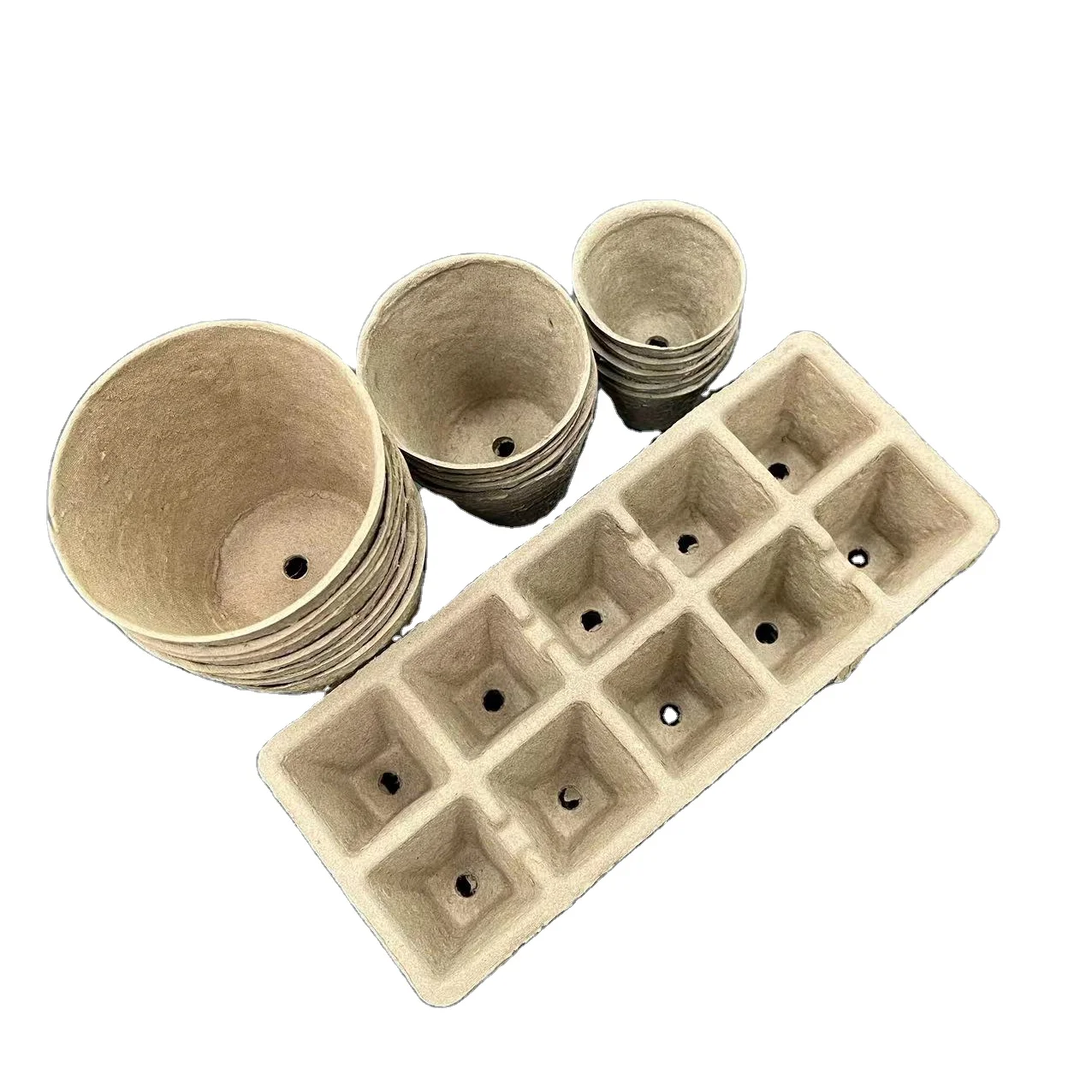 Подносы для саженцев томатов