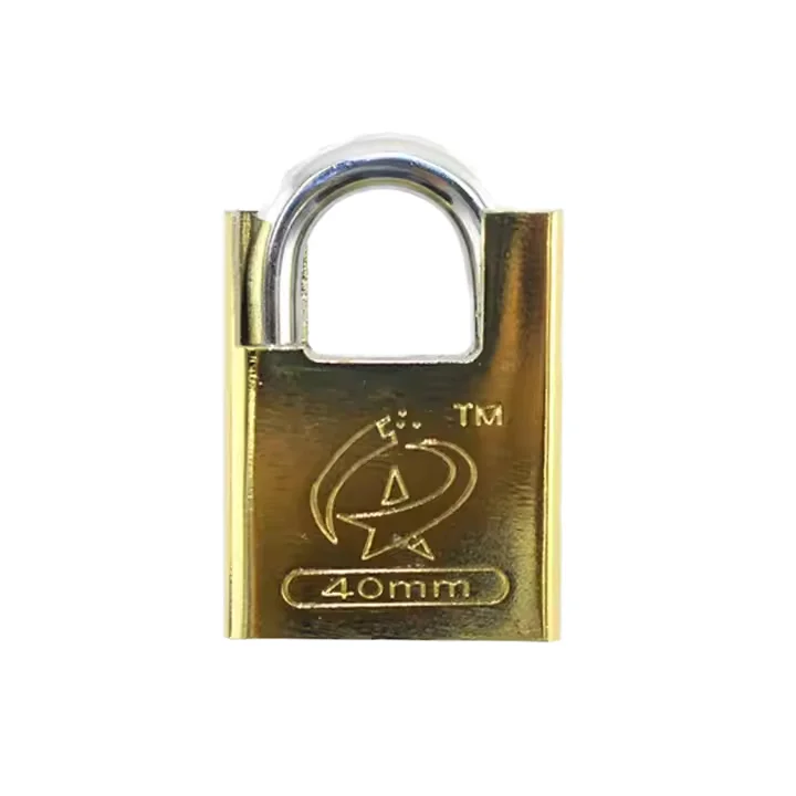 Best Quality 40mm Iron Lock Padlock for Coin-Operated Games for Iron Safe Locker & Commercial Vending Machines