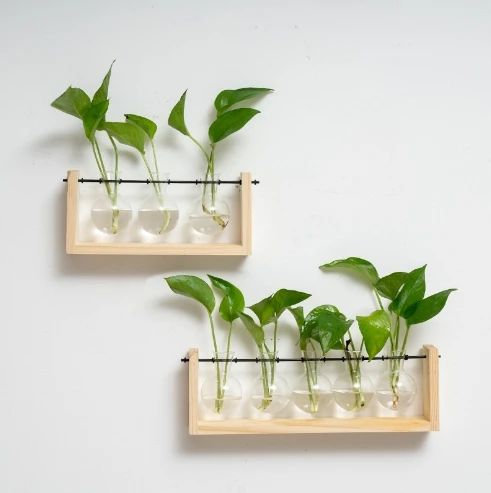 Wall Hanging Propagation Station with Wooden Stand Glass Test Tubes for Home Office Plant Hanger Tiered Planters Wall Terrarium
