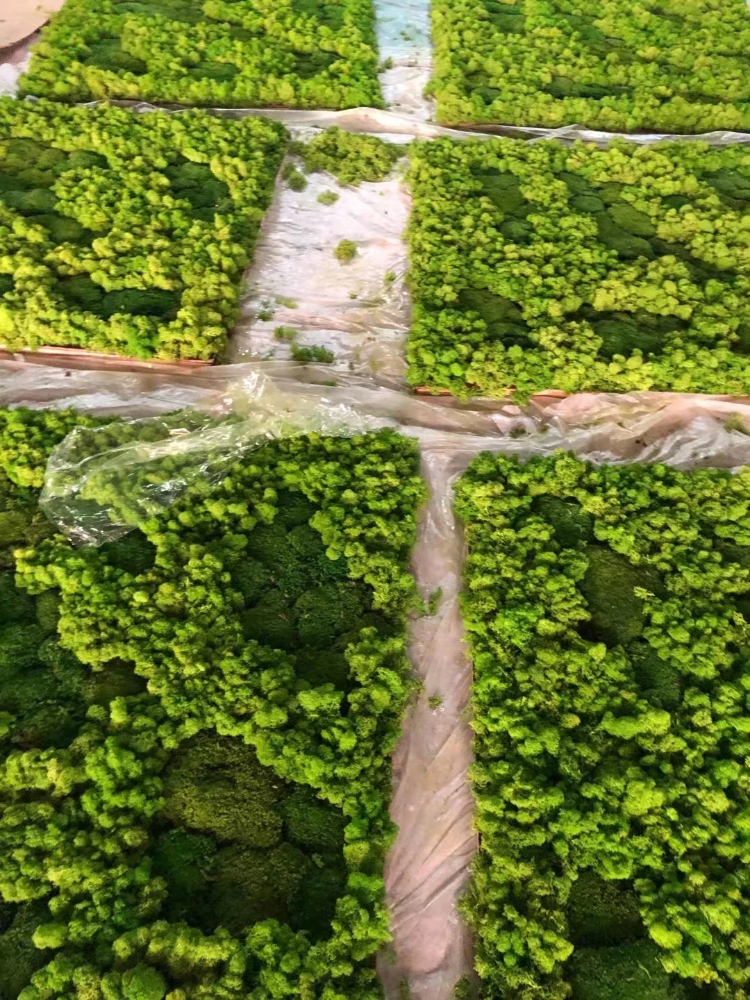 Green preserved moss wall Custom vertical garden hedge fence wall artificial green plant wall