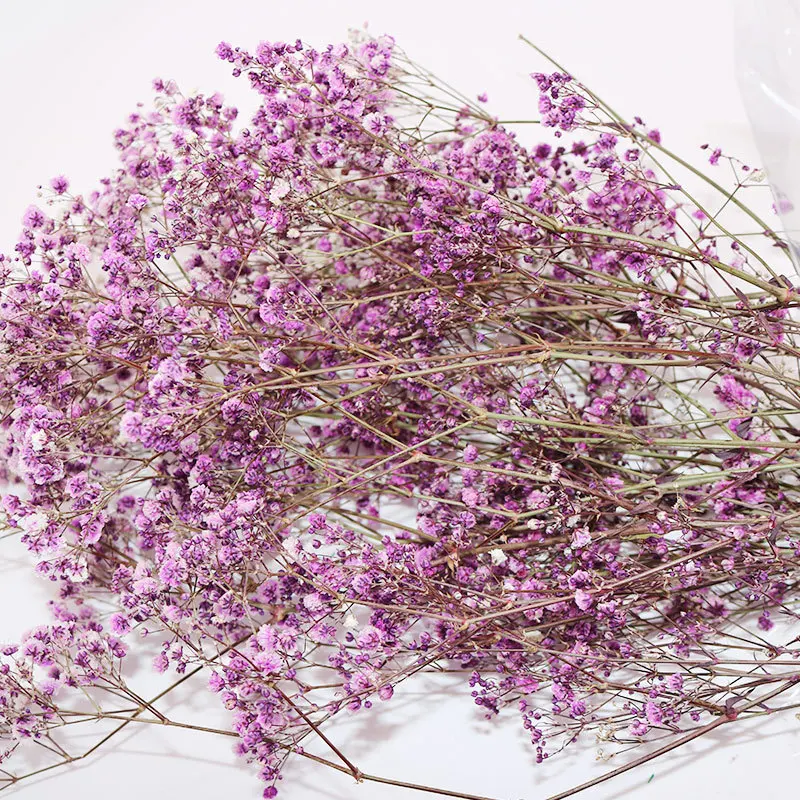 100 г в букете консервированные цветы Babysbreath Натуральные сушеные декор для вечеринки и дома фиолетовые вечные