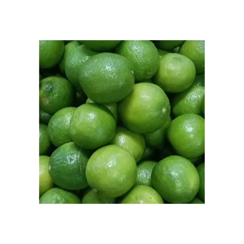 Custom Packing Fresh Lemon 100% natural fresh low price and high quality from Indian supplier Wholesale Purchase
