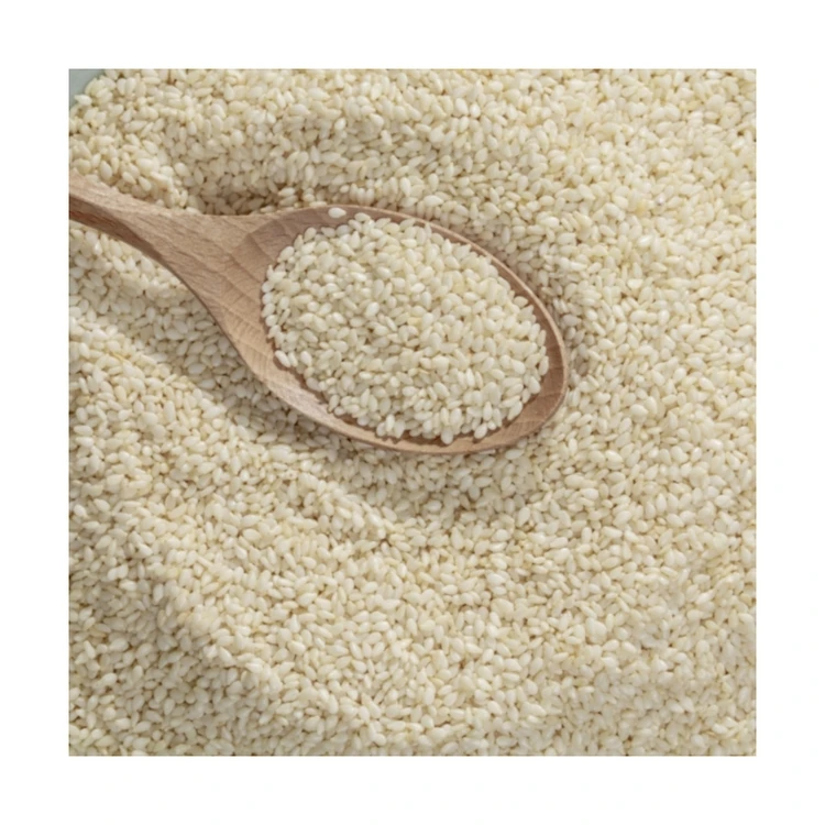 New Original Company White Premium Toasted Hulled Seeds Sudan Supplier Whitish Wholesale Plant Seed Sesame With Best Price