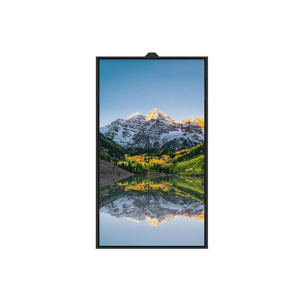 High Brightness 49inch LCD Monitor for Advertisement Display in Shopping Mall