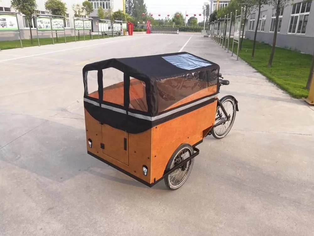 3 wheel e tricycle with Bigger Cabin electric cargo bike frame in Bicycle for sale