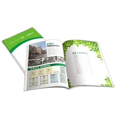Brochure/Magazine/Catalogue full Color Booklet Printing