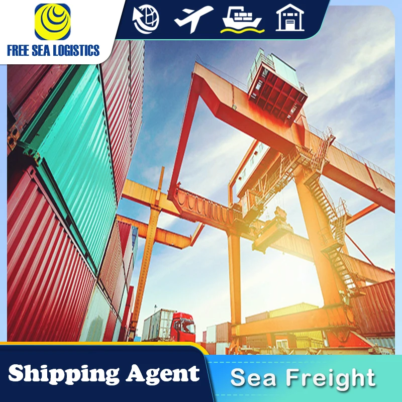 Cheap Fast DDP DDU FCL LCL sea Shipping freight forwarder from China to UAE Oman Saudi Arabia by sea shipping