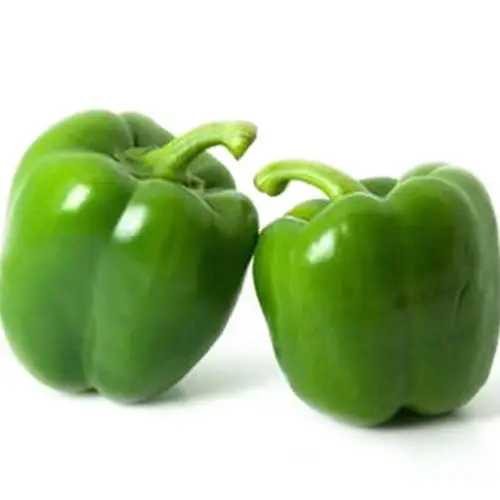 
China Fresh Green PepperWith Lower Price 