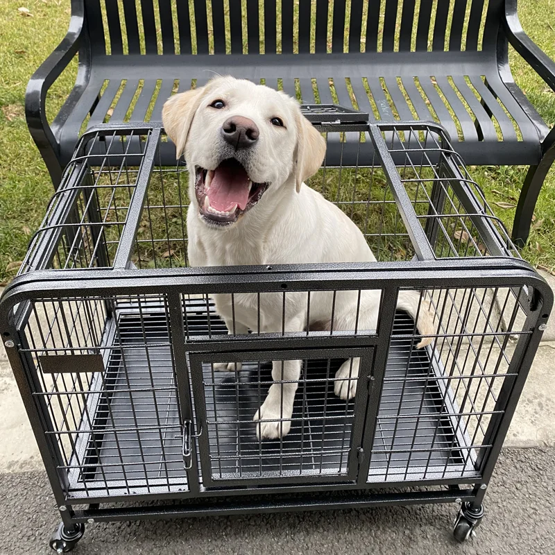 Лоренцо OEM Jaula L L78xW48xH66 ручки и для собак Kandang Kucing Kooi Gabbia Perrera распродажа маленькие животные птичьи собачьи клетки