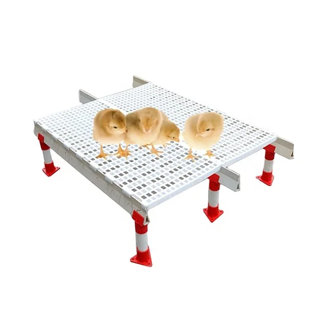 Factory direct supply broiler coop pp plastic chicken grid slatted flooring slat floor for poultry raising chickens