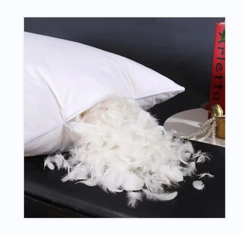 Luxury White 2-4CM White Duck Feather Down Pillow Hotel Use 48X74CM Size Standard