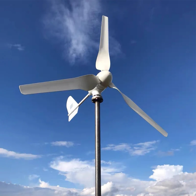 House use 24V 48V wind turbine 3 phase generator 800w 1000w horizontal type wind turbine with CE certification