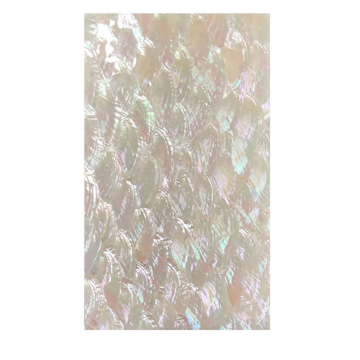 XE-066 Large Abalone Shell Natural Paper Scallop in Veneer Sheets for Art Jewelry Decoration